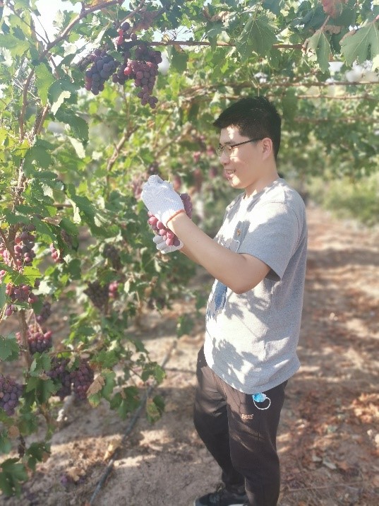 bwin·必赢(中国区)官方网站-officialswebsi